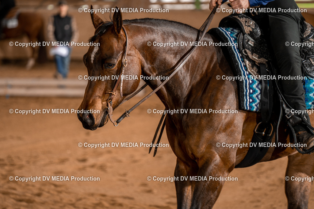 BA400669 | dv-media-shop - Realisiert mit Pictrs.com