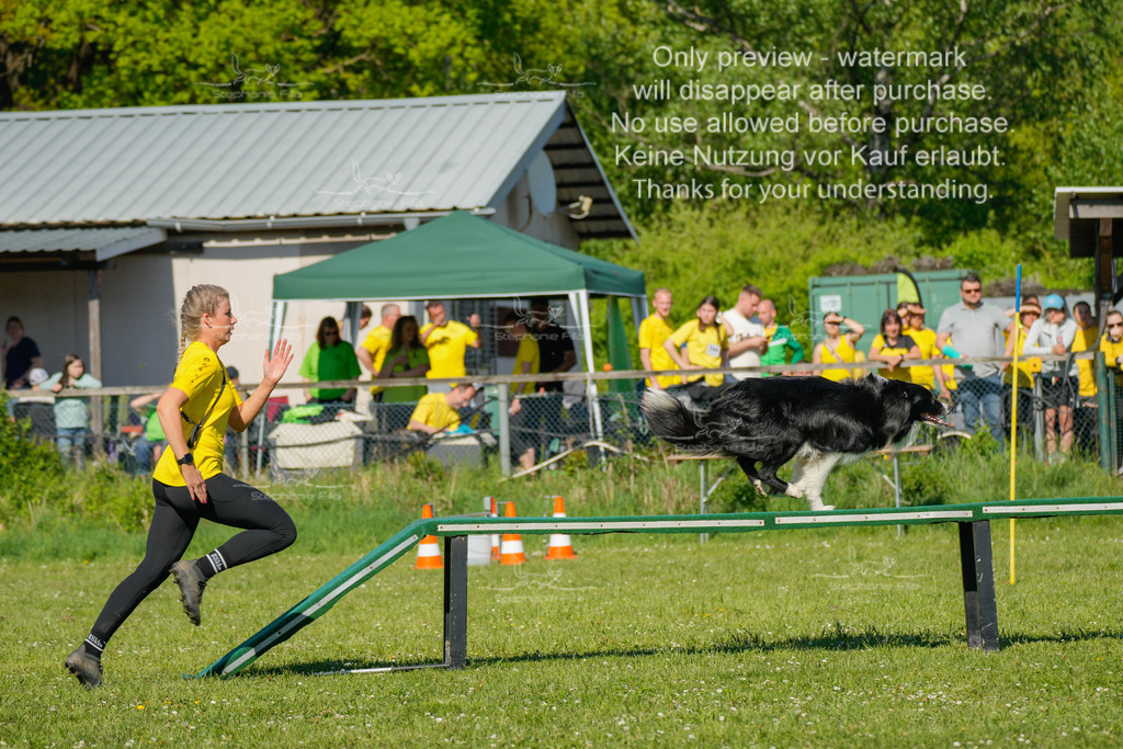 Sa_CSC-213 | stephaniefillaphotographie - Realisiert mit Pictrs.com