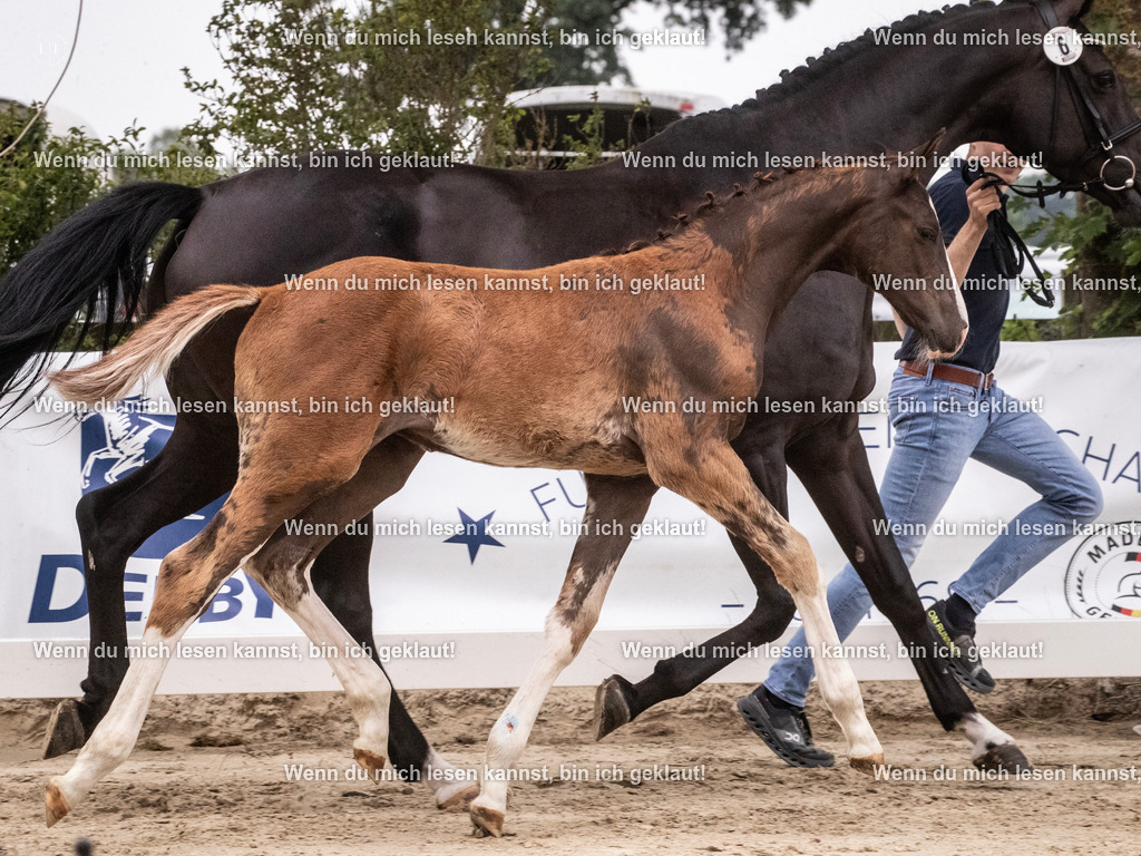 A10I9908 | photographylinaismer - Realisiert mit Pictrs.com