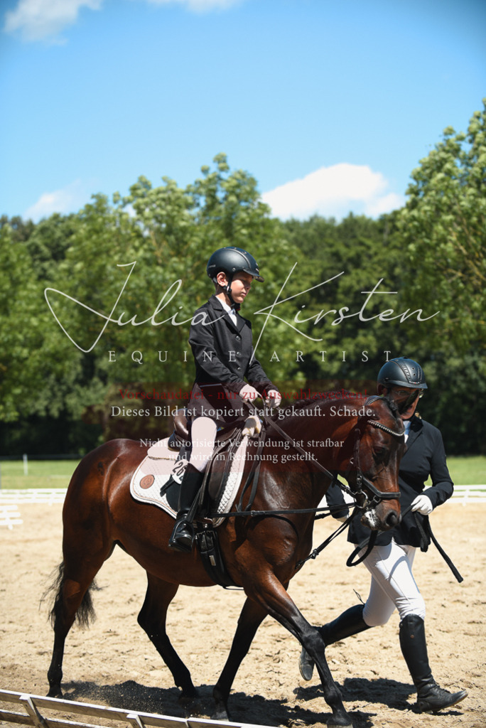 DSC_1800 | Pferde- und Turnierfotografie in Westsachsen. Pferdeportraits, Auftragszeichnungen und intuitive Kunst.