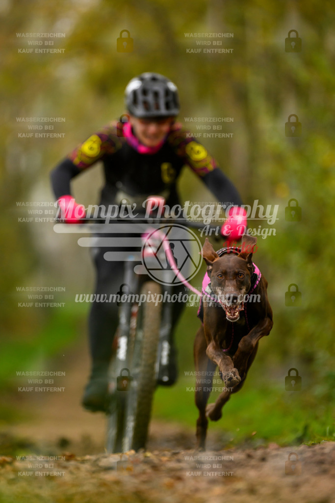 MompixPhotography_20TSB_E6_Bike-52 | PayLife