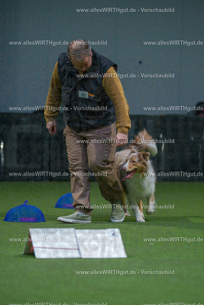 7R500513 | Professionelle Tierfotografie in Mönchengladbach von Daniel Wirth (allesWIRTHgut). Liebevolle & natürliche Bilder von Hunden & Katzen für unvergessliche Erinnerungen.