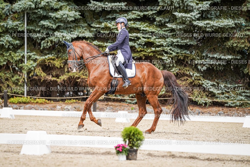 DSC05952 | Pferdegrafie