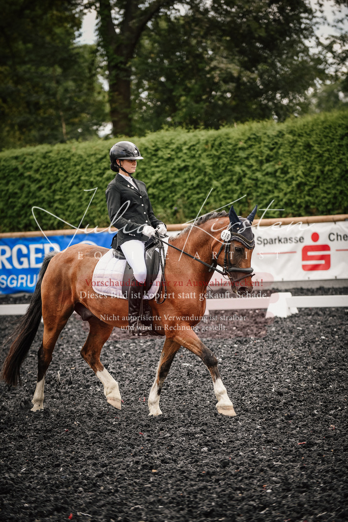 DSC_4486 | Pferde- und Turnierfotografie in Westsachsen. Pferdeportraits, Auftragszeichnungen und intuitive Kunst.
