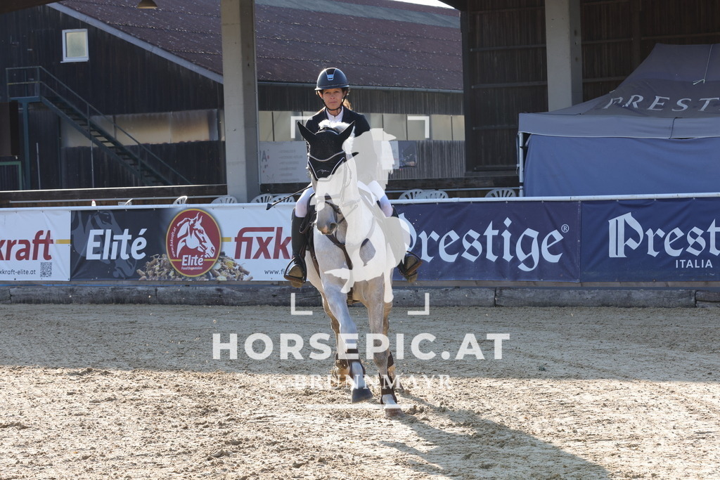 0P6A8392 | Willkommen bei Brunnmayr - Design & Fotografie – Ihrem Spezialisten für Reitturniere und Pferdeveranstaltungen in Oberösterreich, Salzburg und Bayern! Seit über 17 Jahren sind wir leidenschaftlich dabei.