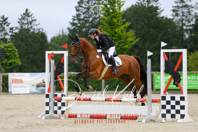 IMG_4875 | Turniersportfotografie; Pferdefotografie; Dressurfotografie