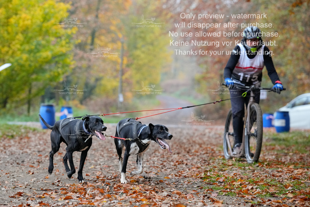 ScooterRigs2dogs_So-5 | stephaniefillaphotographie - Realisiert mit Pictrs.com