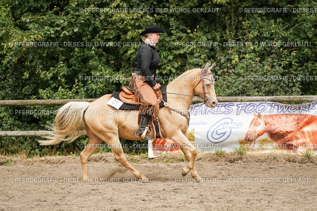 DSC00495 | Pferdegrafie