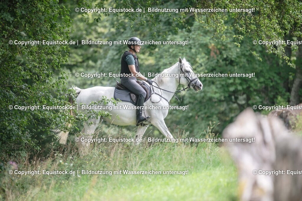 20250726_Vielseitigkeitslehrgang-Marbach_0560 | Foto: Thomas Hartig