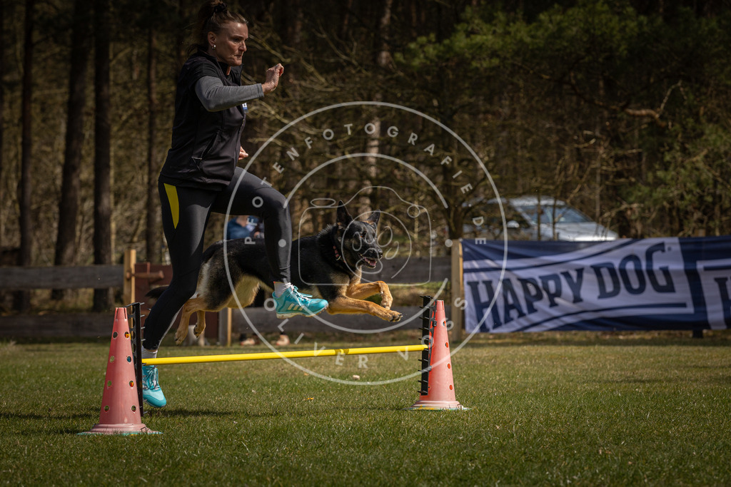 Pfotenfotografie_DV3A3308 | Hundefotografie, Tierfotograf, Pfotenfotografie, Fotoshooting Hund, Hunde Portrait, Hundesport, Hundeportraits, Heideshooting, Hunde, Sportfotograf, Hundefotograf, Turnierhundsport, THS,  - Realisiert mit Pictrs.com