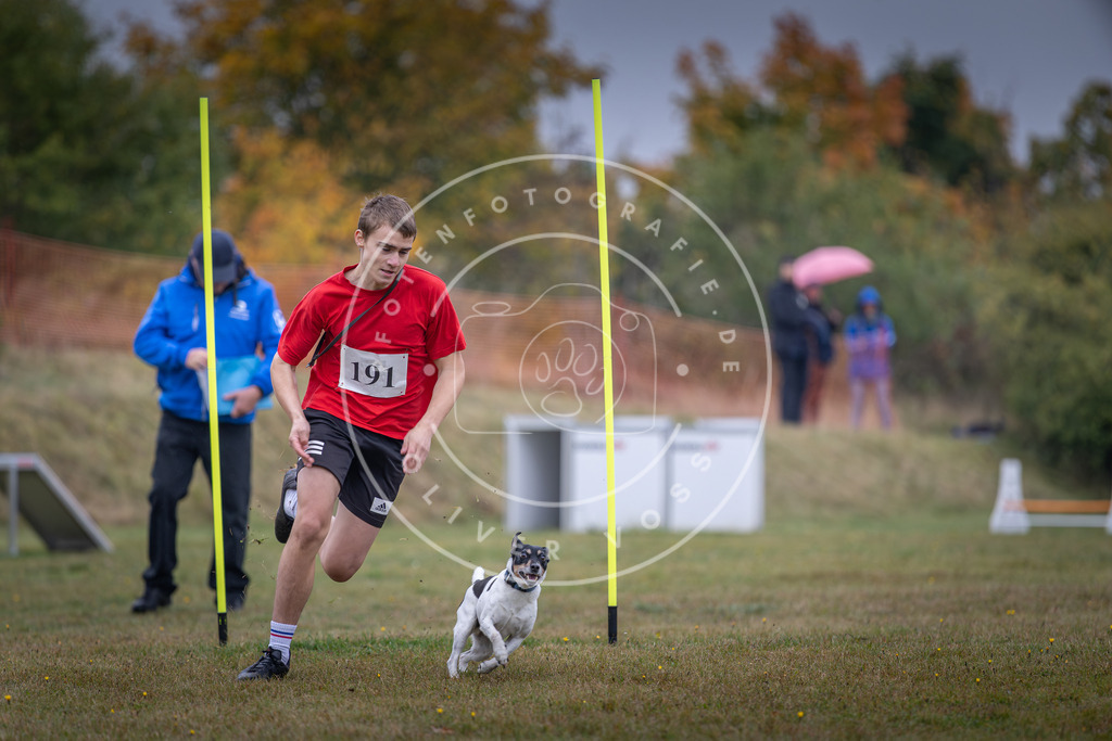 Pfotenfotografie_DV3A0298 | Hundefotografie, Tierfotograf, Pfotenfotografie, Fotoshooting Hund, Hunde Portrait, Hundesport, Hundeportraits, Heideshooting, Hunde, Sportfotograf, Hundefotograf, Turnierhundsport, THS,  - Realisiert mit Pictrs.com
