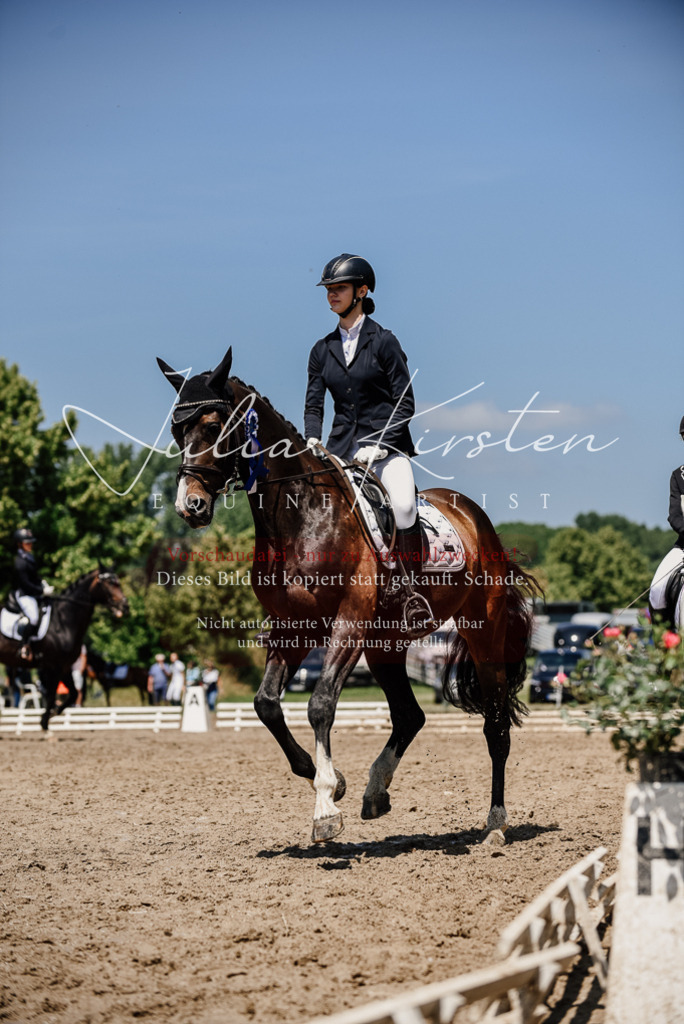 DSC_2071 | Pferde- und Turnierfotografie in Westsachsen. Pferdeportraits, Auftragszeichnungen und intuitive Kunst.