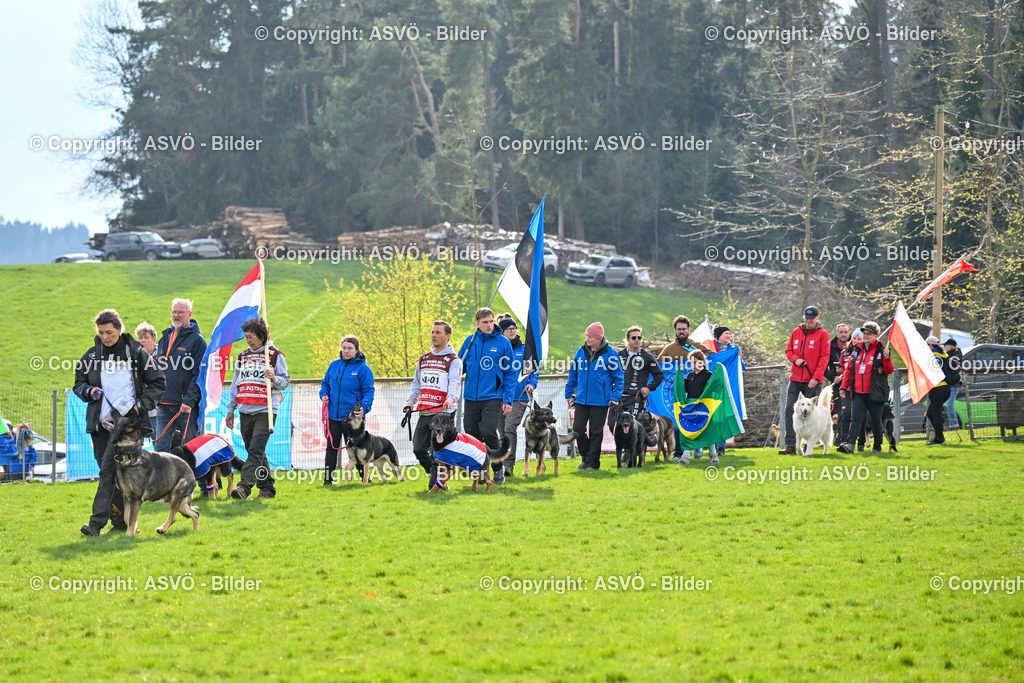 ASVÖ_ Tracking Dog World Championship 2025_ 05.04.2025-124 | bilder.asvo-sport - Realisiert mit Pictrs.com