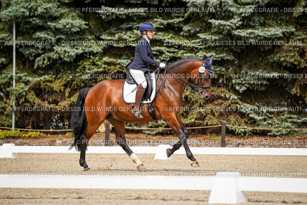 DSC05250 | Pferdegrafie