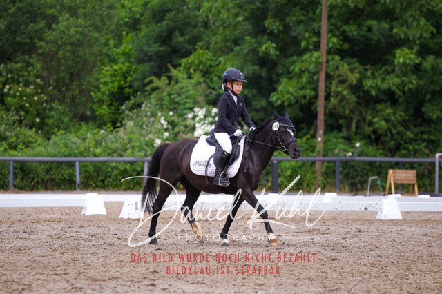 DKP47498 | Turnierfotos kaufen im Webshop von Daniel Kuhl Photography – entdecke professionelle Reitsportfotos aus Turnieren & Events. Hochwertige Turnierbilder online bestellen & sichern. Jetzt Fotos von Reitsportturnieren kaufen!