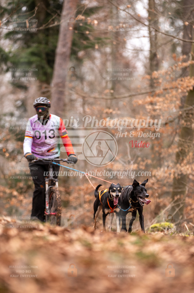 AKM_ST_2023_SAM_DS2-16 | PayLife