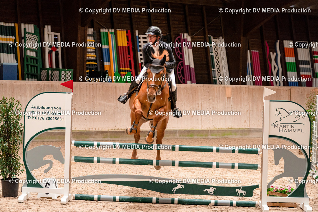 Springen Tag 1-181 | dv-media-shop - Realisiert mit Pictrs.com