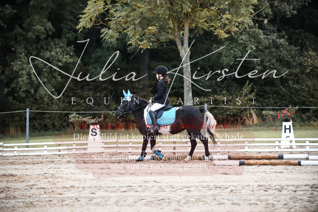 DSC_4104 | Pferde- und Turnierfotografie in Westsachsen. Pferdeportraits, Auftragszeichnungen und intuitive Kunst.