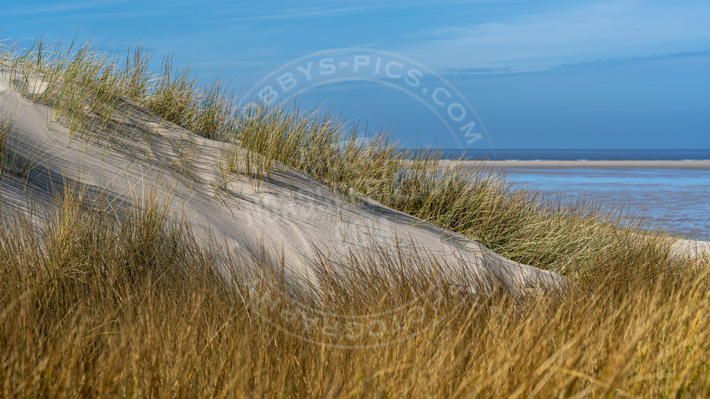 Düne am Strand | Düne an der Nordsee