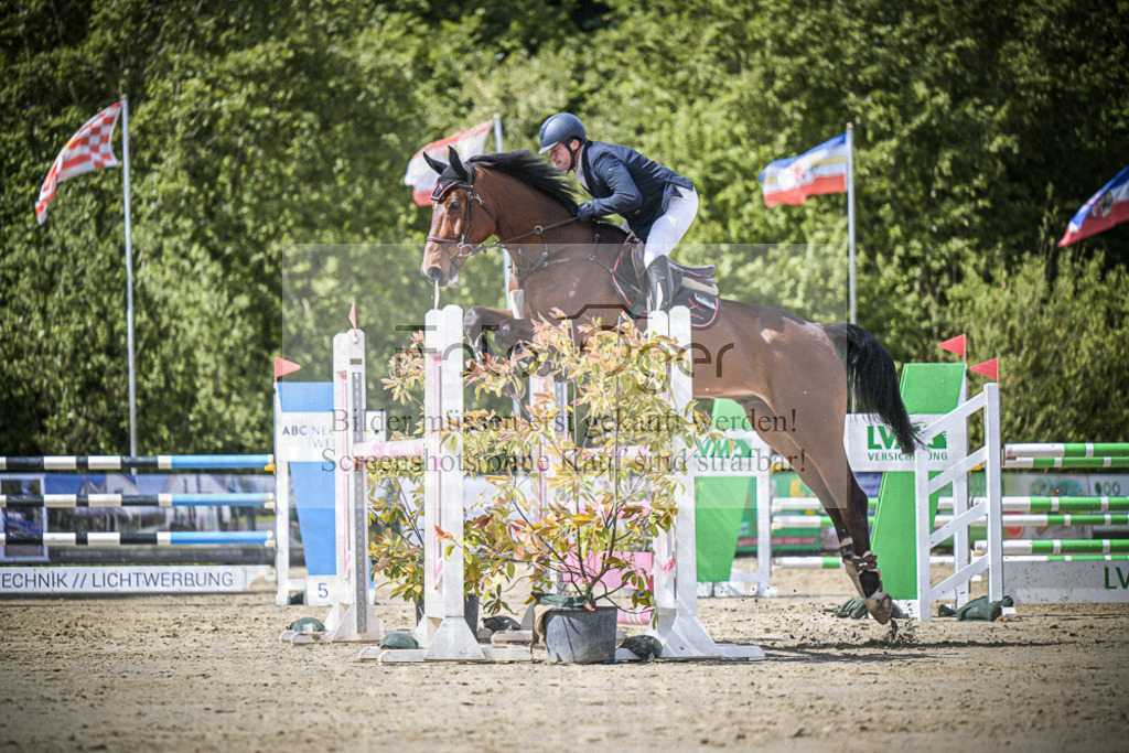 DOS_4090 | Entdecke hochwertige Reitturnierfotos von Foto Oger. Professionell, emotional und authentisch – jetzt Lieblingsmomente im Shop bestellen.Deutschlandweite Turnierfotografie. - Realisiert mit Pictrs.com