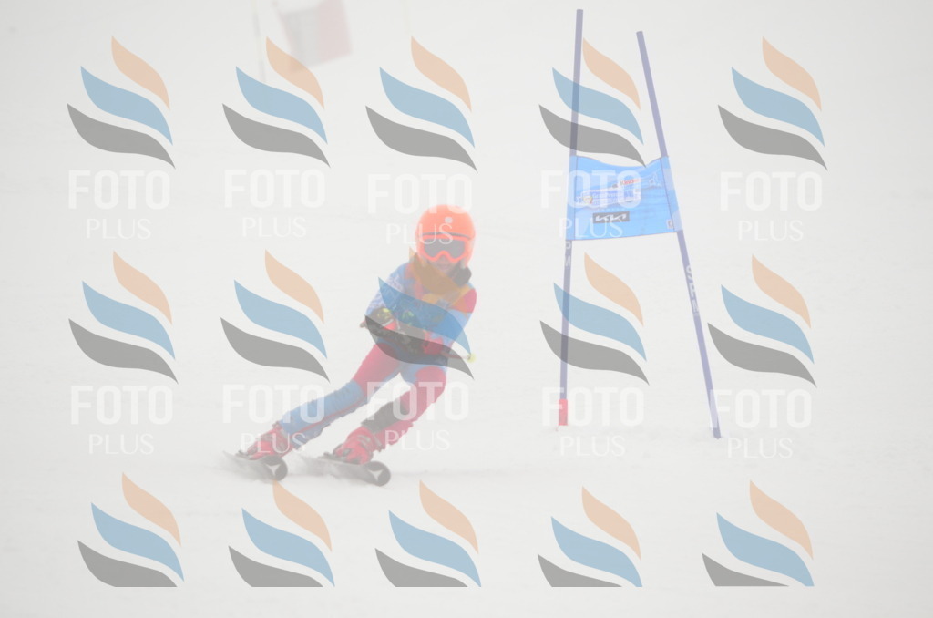 C1629 | holidayphoto