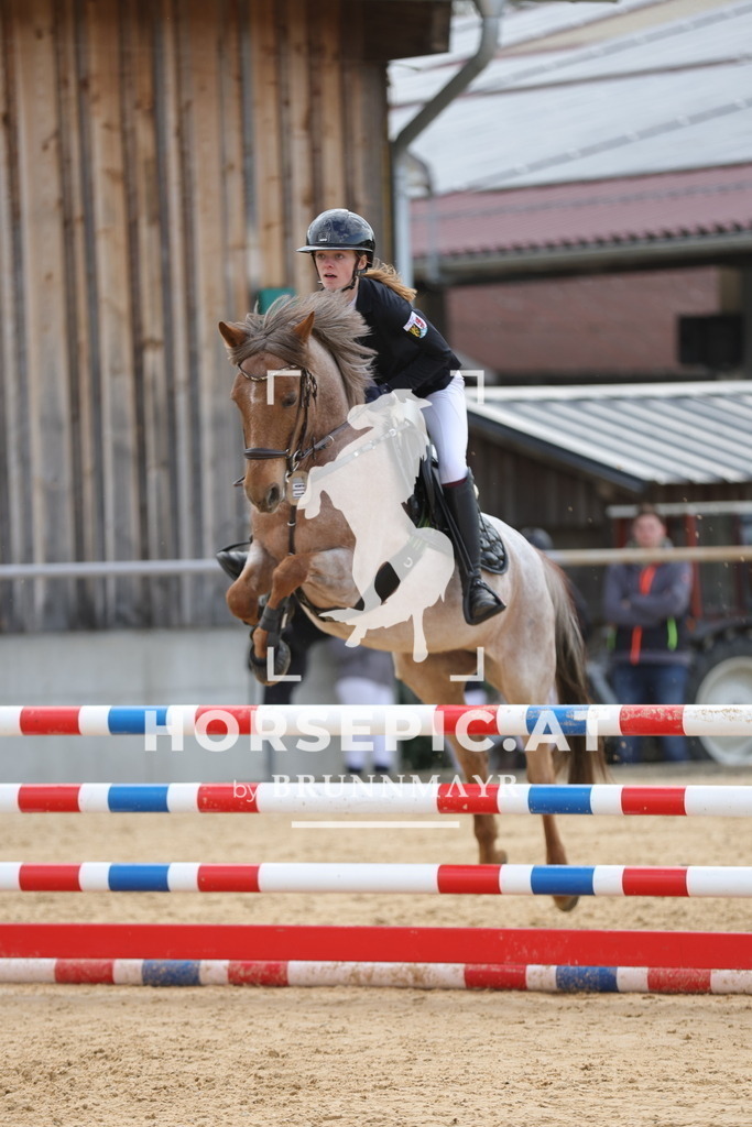 0P6A8562 | Willkommen bei Brunnmayr - Design & Fotografie – Ihrem Spezialisten für Reitturniere und Pferdeveranstaltungen in Oberösterreich, Salzburg und Bayern! Seit über 17 Jahren sind wir leidenschaftlich dabei.