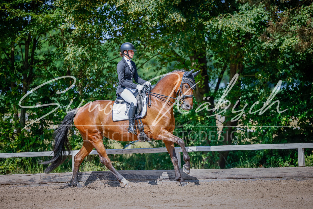 20250621-_3LI9352 | Tierfotografie Pferde, Hunde, Katzen, Haustiere.
Turnierfotografie Reitturniere, Reiten, Springreiten, Dressur in Hanau, dem Main-Kinzig-Kreis und dem Rhein-Main- Gebiet um Frankfurt