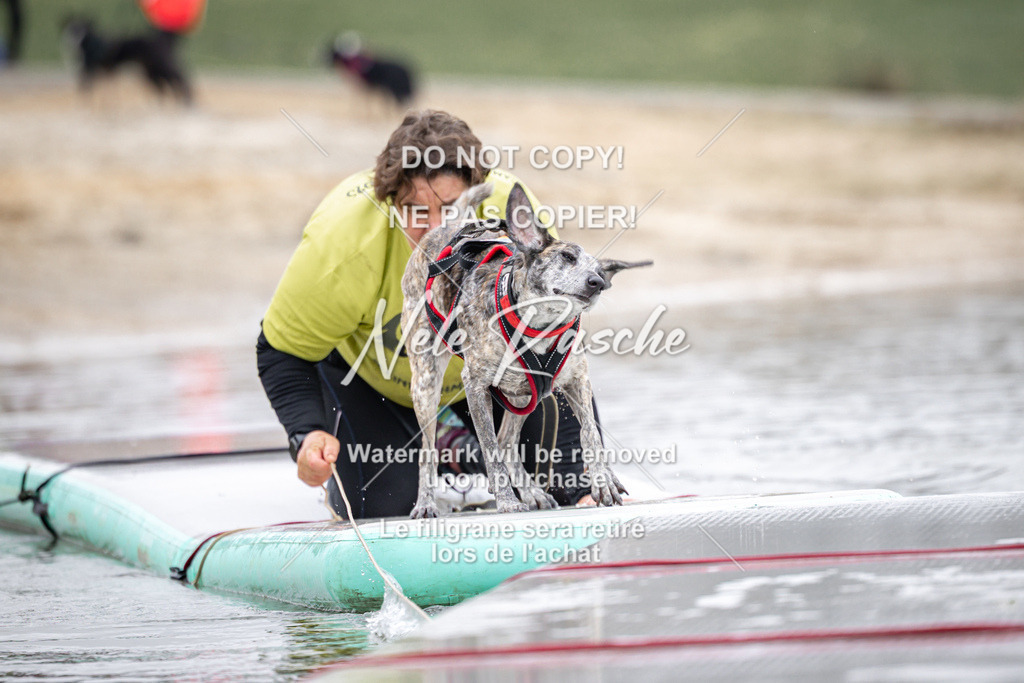 nelerasche_Hulsbeek_Sa1100-1130_159 | nelerasche