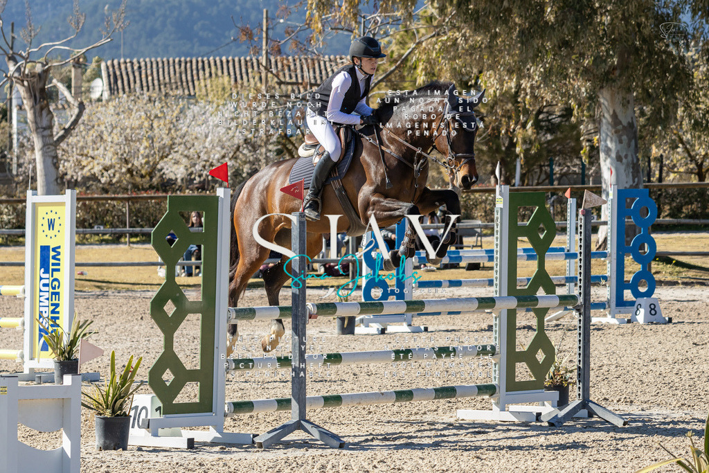 IMG_1386 | s-jay-photography - Realisiert mit Pictrs.com