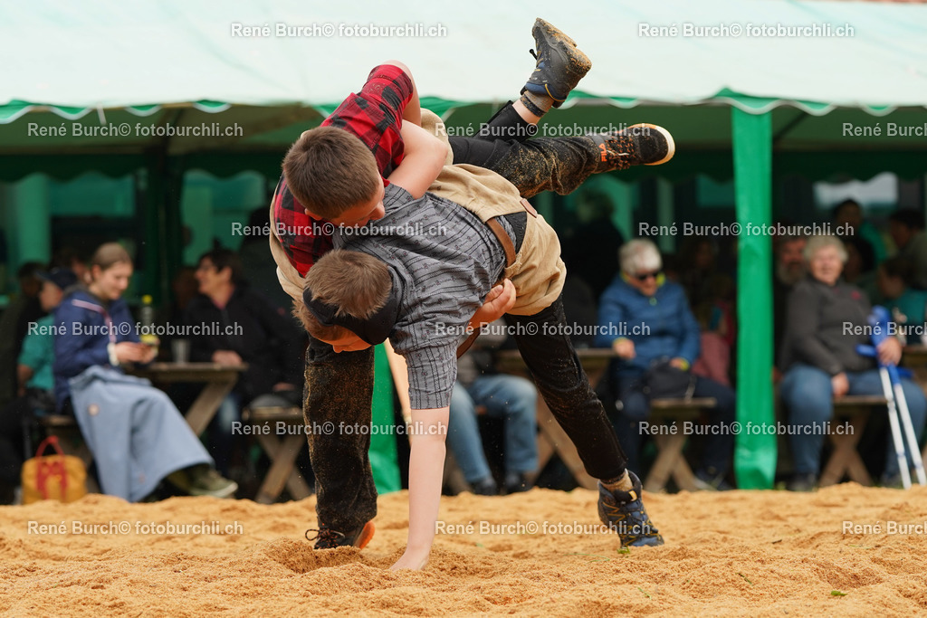 20220423-DSC08519 (2) | René Burch leidenschaftlicher Fotograf aus Kerns in Obwalden.  Hier finden sie Sport, Landschaft und Natur Fotografie.
 - Realisiert mit Pictrs.com