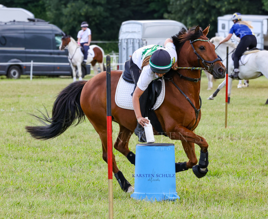 1B3A4425 | Reitsport Reiten