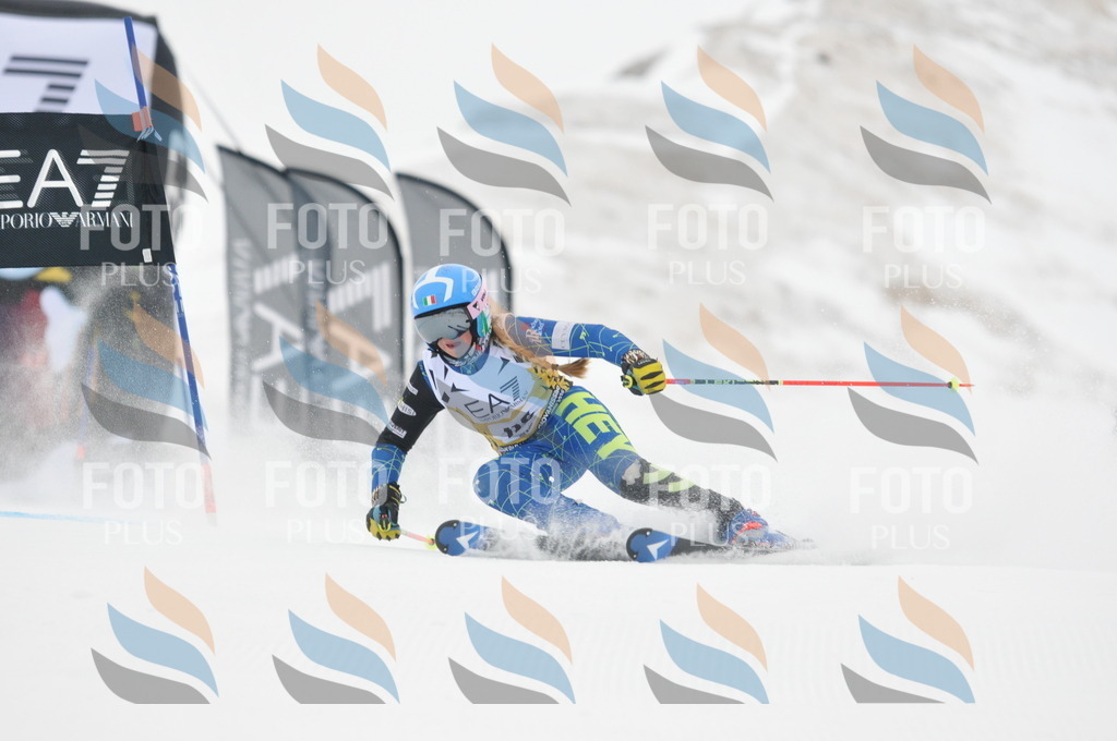 DSC_8175 | holidayphoto