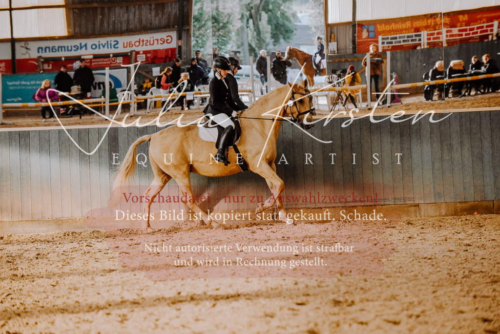 DSC_7668 | Pferde- und Turnierfotografie in Westsachsen. Pferdeportraits, Auftragszeichnungen und intuitive Kunst.