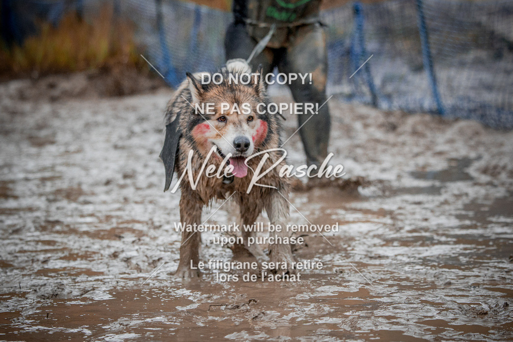 nelerasche_Creepy2025_Sa1400-Ende_455 | nelerasche