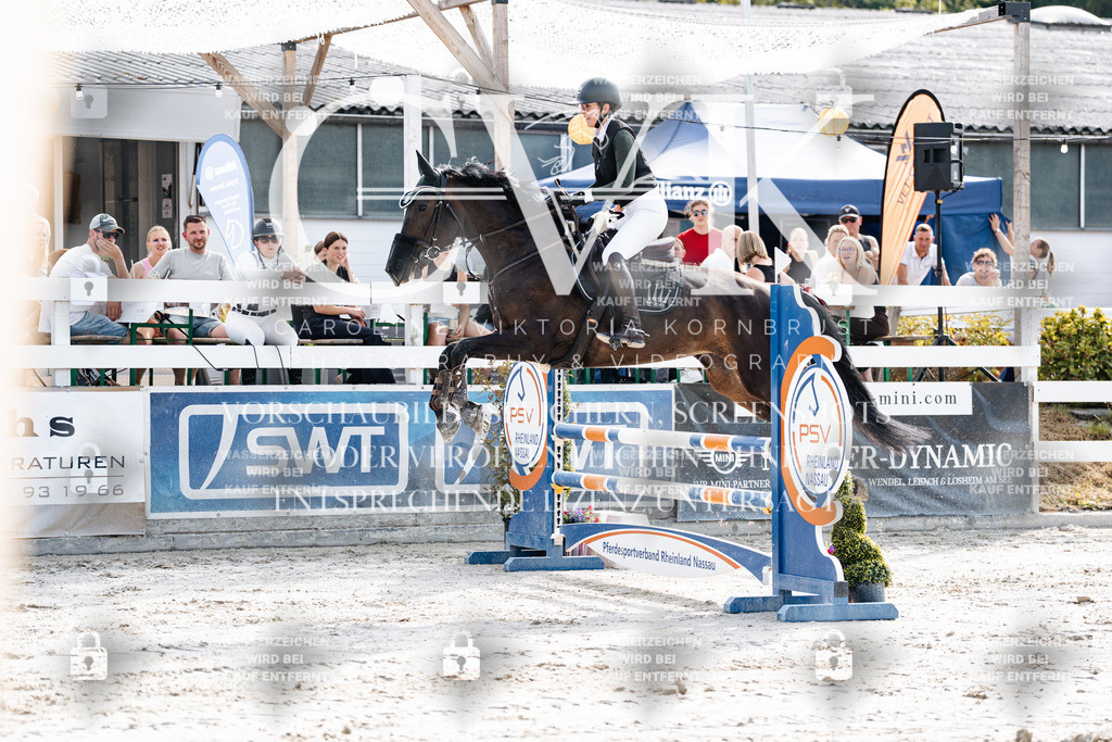 CK905537 | Turnierfotografie Pferdefotografie Trier Rheinland-Pfalz Pferdesport Reitsport Tierfotografie Sportfotografie Pferdevideo Pferdevideografie Equestrianvideography equestrianphotography  - Realisiert mit Pictrs.com