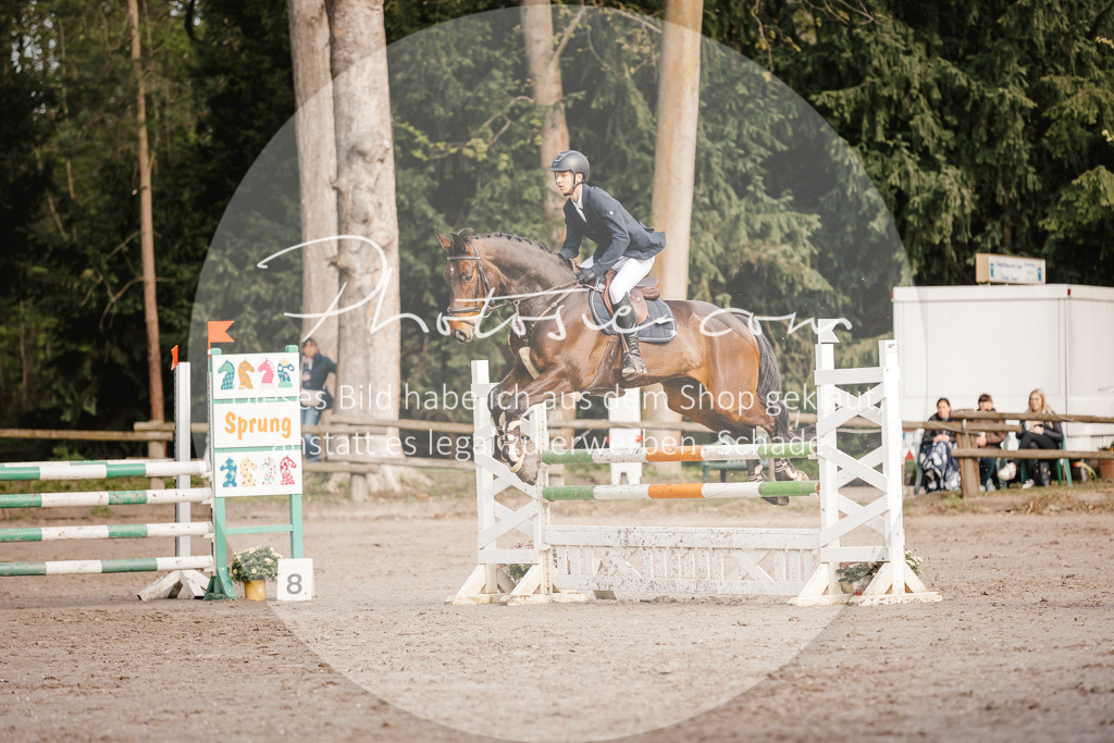 3I6A3399 | Stimmungsvolle Portraits und Reitsportfotografie im Ruhrgebiet und im Münsterland.

Pferdefotografie, Hundefotografie, Tierfotografie, Reportagen, Portraits von Tier und Mensch, Turnierfotografie in Bochum, Recklinghausen, Marl, Haltern am See, Dülmen.. - Realisiert mit Pictrs.com