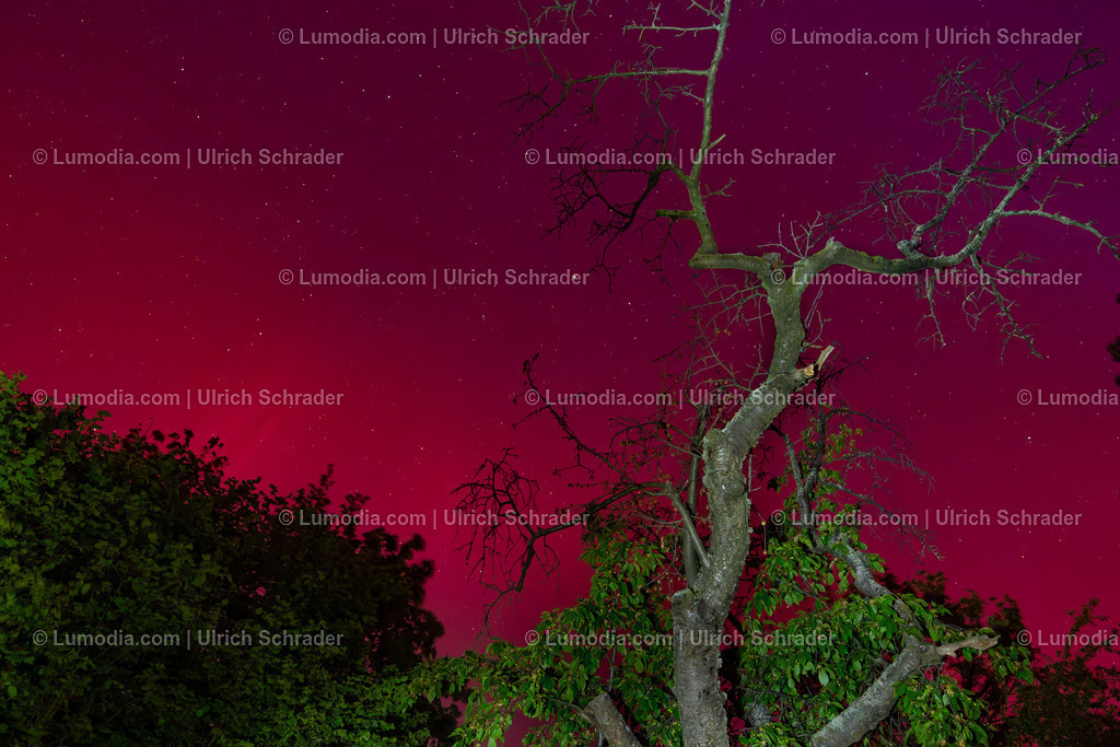 10049-13240 - Polarlicht am Huy | Stockfoto und Bilderpool mit Bildmaterial aus Deutschland, dem Harz, Halberstadt, Quedlinburg, Wernigerode und weltweit. Qualitativ hochwertige und professionelle Fotos anschauen und kaufen. - Realisiert mit Pictrs.com