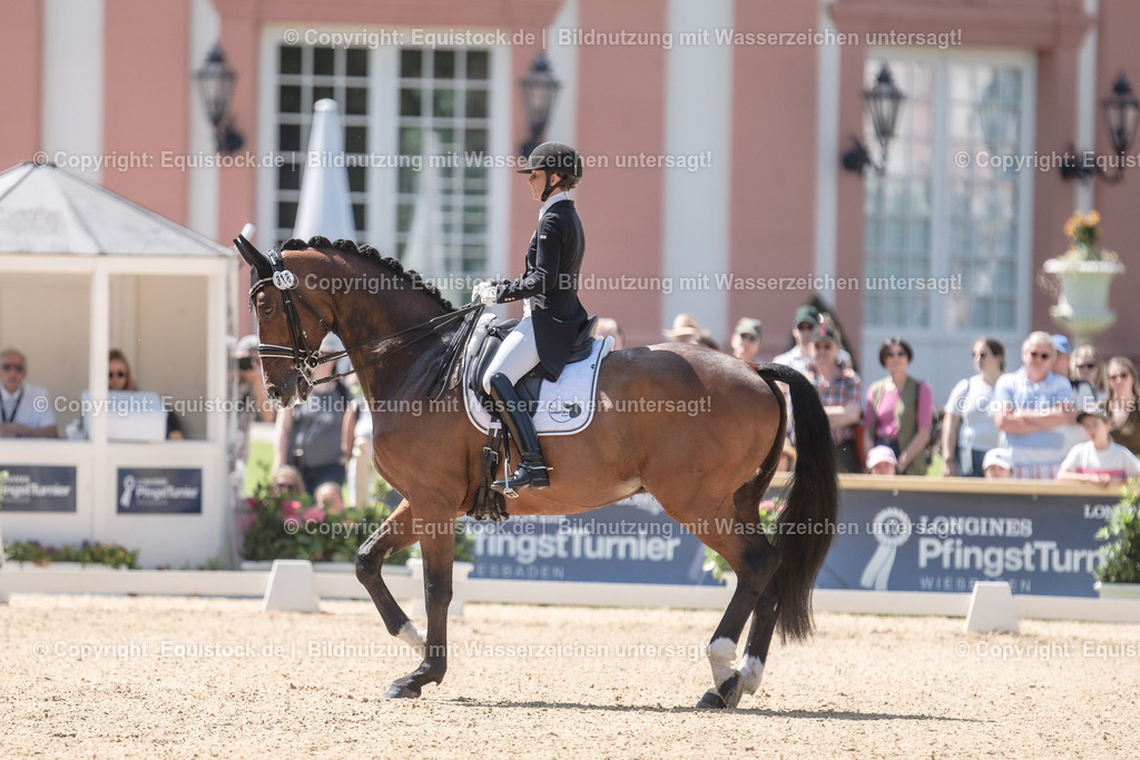20230528_03_GP-Special-Tour_0148 | equistock