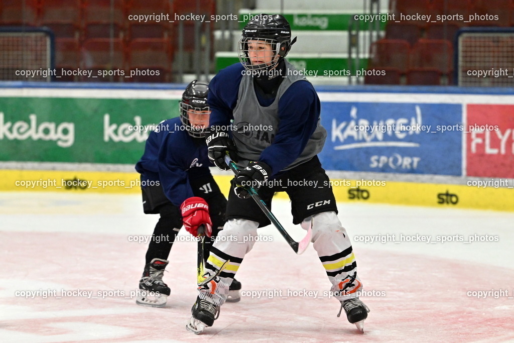 Z9B_3369 | hockey sports photos, Pressefotos, Sportfotos, hockey247, win 2day icehockeyleague, Handball Austria, Floorball Austria, ÖVV, Kärntner Eishockeyverband, KEHV, KFV, Kärntner Fussballverband, Österreichischer Volleyballverband, Alps Hockey League, ÖFB, 