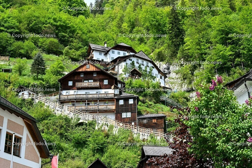 Hallstatt_ 19.05.2023-59 | 19.05.2023, Hallstatt, AUT, Hallstatt, im Bild Haeuser in Hallstatt