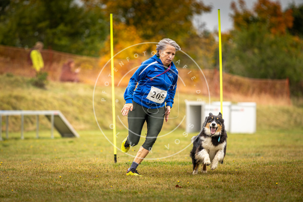 Pfotenfotografie_DV3A2115 | Hundefotografie, Tierfotograf, Pfotenfotografie, Fotoshooting Hund, Hunde Portrait, Hundesport, Hundeportraits, Heideshooting, Hunde, Sportfotograf, Hundefotograf, Turnierhundsport, THS,  - Realisiert mit Pictrs.com