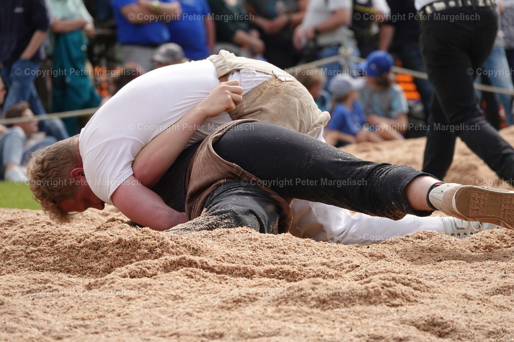 DSC04191 | Schwingen - Realisiert mit Pictrs.com