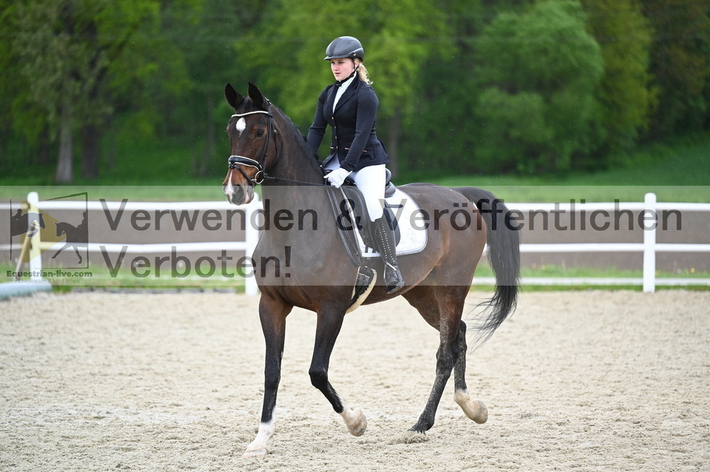 DSC_0182 | equestrian-live-com