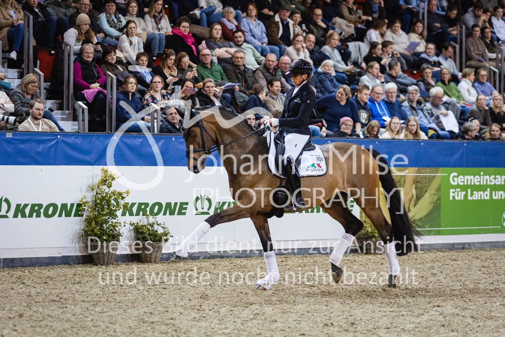 250108_Muenster_Hengstpräsentation-144 | Deine schönsten Turniermomente als professionelle Fotos! Entdecke hochwertige Pferdesport-Fotografie im Online-Shop. Jetzt Fotos finden & bestellen!
