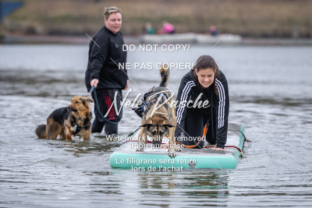 nelerasche_Hulsbeek_Sa1600-1700_372 | nelerasche