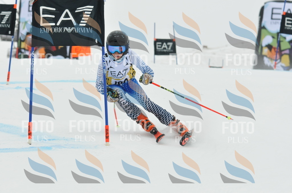 DSC_8665 | holidayphoto