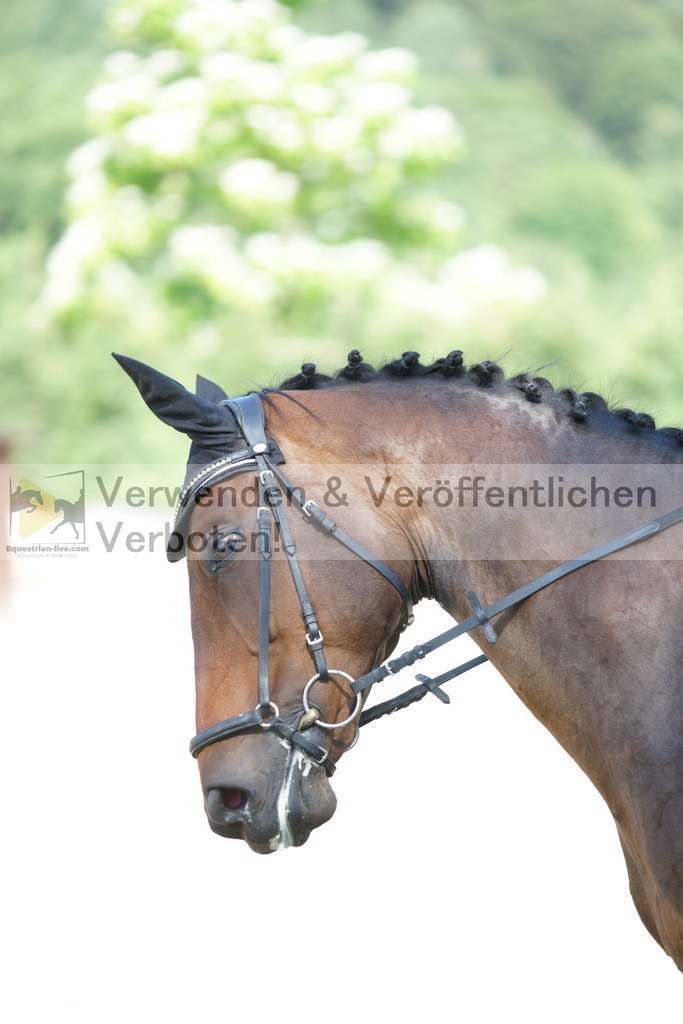 DSC02978 | equestrian-live-com