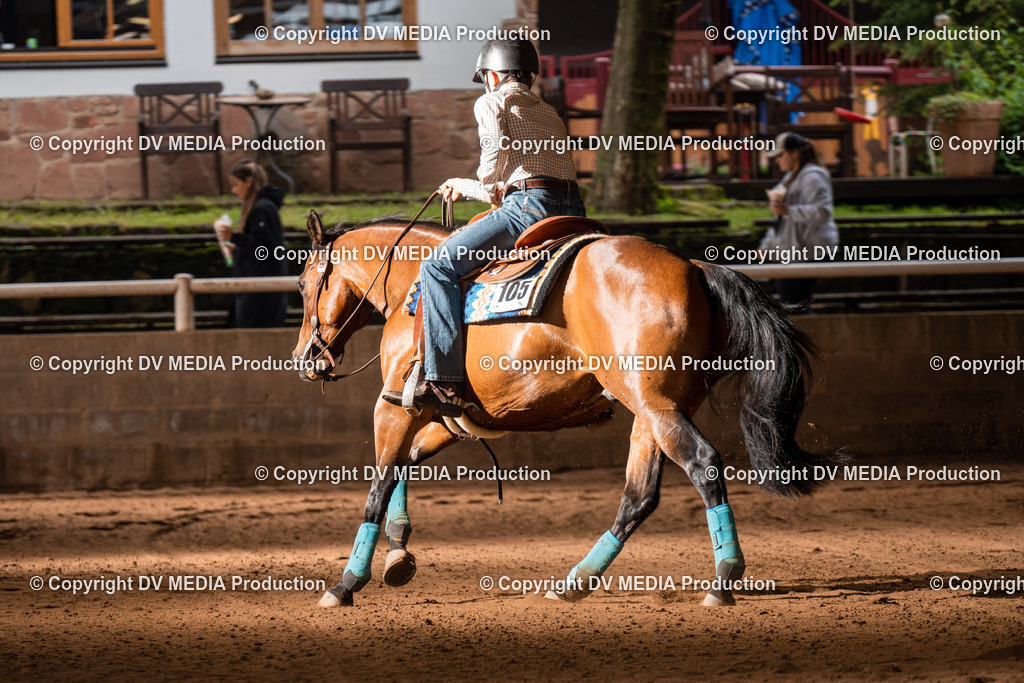 Erbach Tag 2-905 | dv-media-shop - Realisiert mit Pictrs.com