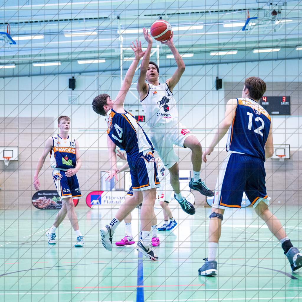 JBBL 24/25 | 19.01.2025 | Charisma Young Bulls vs. Rostock Seawolves | JBBL 24/25 | 19.01.2025 | Charisma Young Bulls vs. Rostock Seawolves - - - - - CREDIT, www.bullenfotos.de, Martin König, Hörner Weg 40, D-49078 Osnabrück, +4917663732967, Nutzung und Weitergabe nur zu den vereinbarten Zwecken. Presseanfragen an Urheber. Alle Rechte beim Urheber. - - - - - - Realisiert mit Pictrs.com