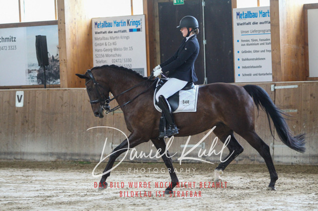 DKP45608 | Turniersportfotografie; Pferdefotografie; Dressurfotografie